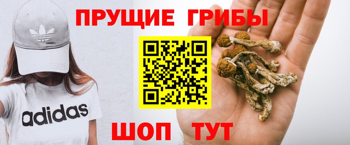 Псилоцибиновые грибы Psilocybe  Галлюциногенные грибы Psilocybe  Вход с VPN  Нягань 